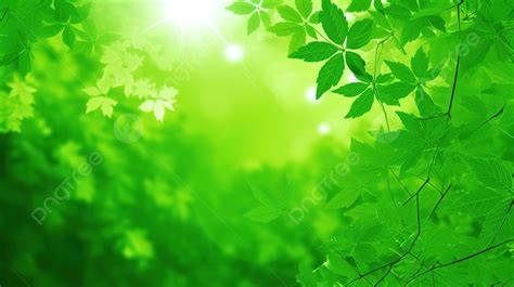 Green Leaves Hd Wallpaper Background, Bright Green Image, September ...