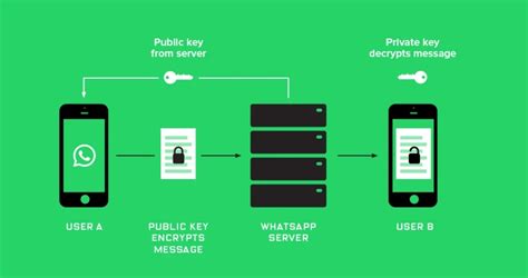 How to Verify That WhatsApp Messages Are Encrypted – Up & Running Inc ...