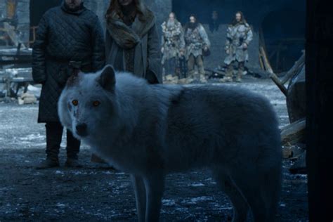 Game Of Thrones Direwolf Pups