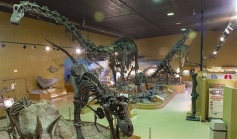 Museum – Wyoming Dinosaur Center