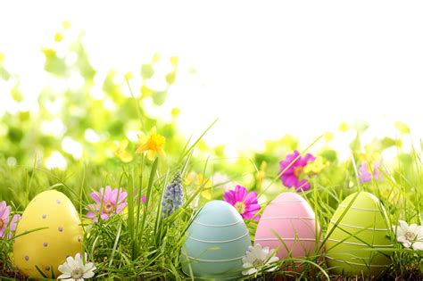 Happy Easter Wallpapers - Top Free Happy Easter Backgrounds ...