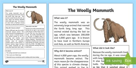 What is a Woolly Mammoth? - Answered - Twinkl Teaching Wiki