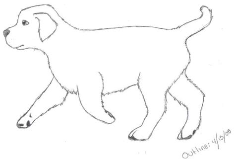 Golden Retriever Pup OUTLINE by Wolf-of-the-artic on DeviantArt