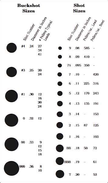 12 Gauge Shot Size Chart