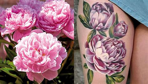 Peony Flower Tattoo | Best Flower Site