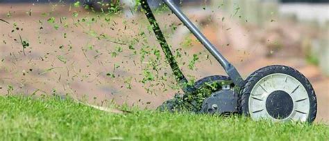 The Ultimate Guide in Scarifying Your Lawn | Handyman tips