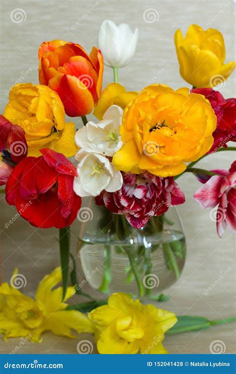 Bouquet of Tulips and Daffodils. Stock Photo - Image of beautiful ...