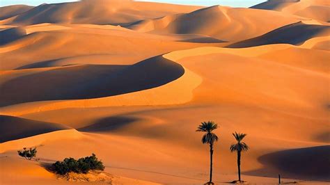 Nice Picture Collection Of Desert ~ Allfreshwallpaper