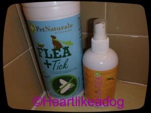 Protecting Your Dog From Fleas and Ticks