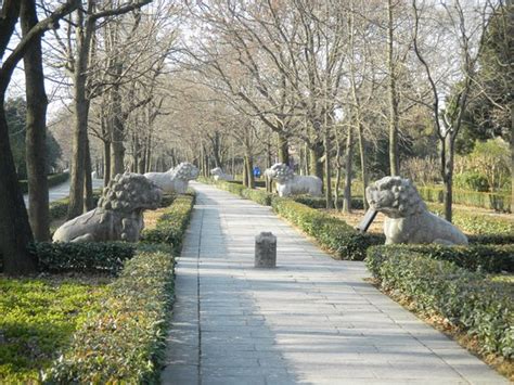 Ruins of the Ming Palace (Nanjing, China): Top Tips Before You Go ...