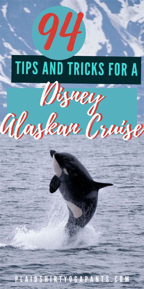 94 useful tips for an alaska disney cruise – Artofit