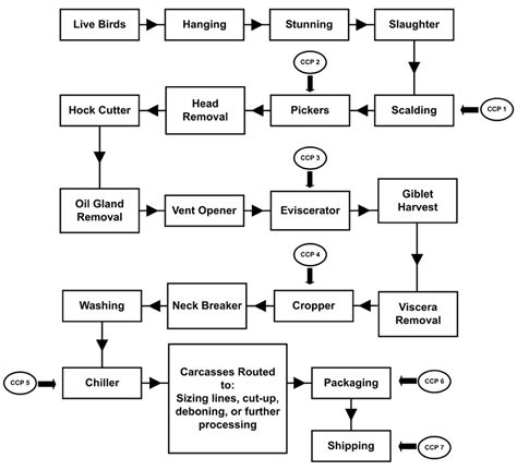 [DIAGRAM] Process Flow Diagram Haccp - MYDIAGRAM.ONLINE