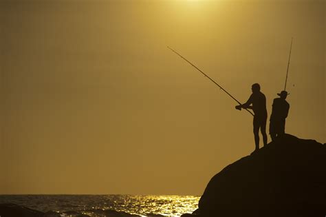Fishing Free Stock Photo - Public Domain Pictures