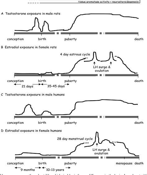 Figure 1 from Estrogen Actions in the Brain and the Basis for ...