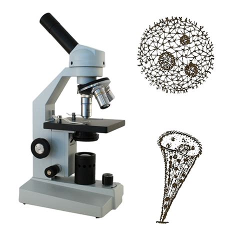 Science Teacher Handbook: Experiments with a Microscope