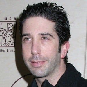 David Schwimmer - Biography, Family Life and Everything About | Wiki ...