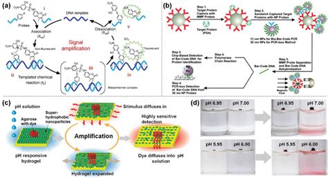 Amplification. a) Using DNA as the catalyst (and the stimulus) for ...