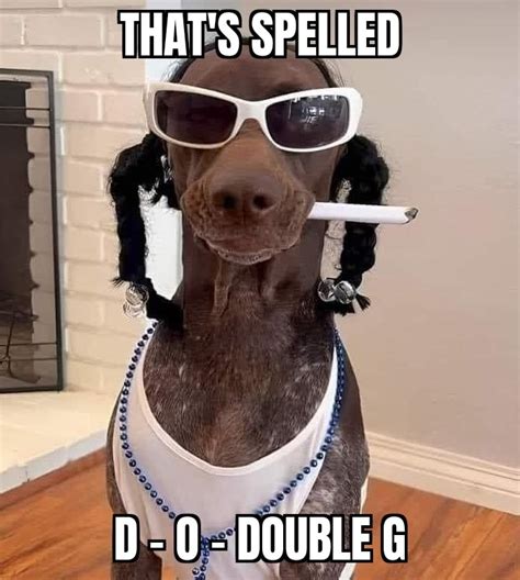 Snoop Dogg Dog Meme