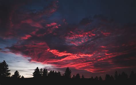 Download colorful, clouds, sunset, dark, tree 1920x1200 wallpaper, 16:10 widescreen 1920x1200 hd ...