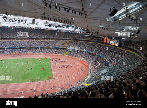 The national stadium the bird's nest inside Stock Photo - Alamy