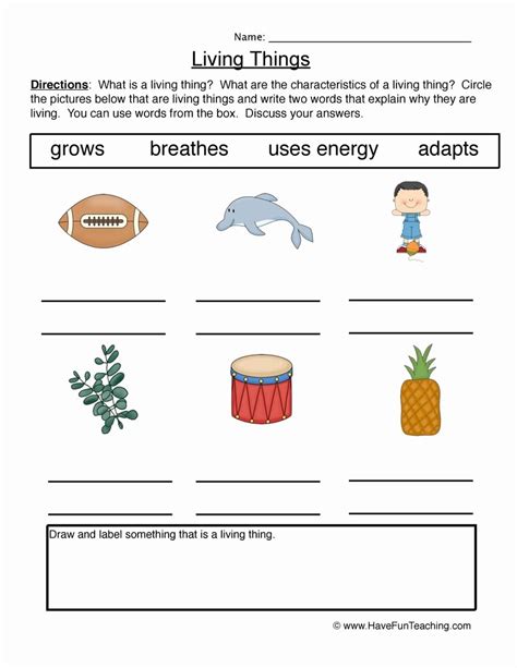 50 Characteristics Of Life Worksheet