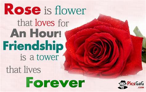 Flower Quotes About Friendship. QuotesGram