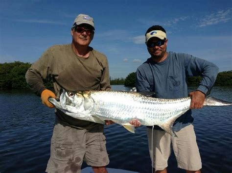 How Big Do Tarpon Get? (Average and Record Sizes) | Strike and Catch