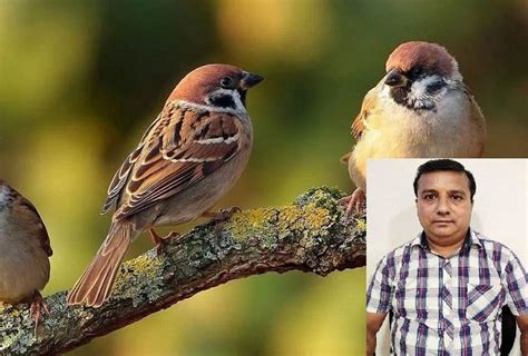 Meet Gauraiya Lover Arjun, Who Saved Thousands Of Gauraiya Bird In ...