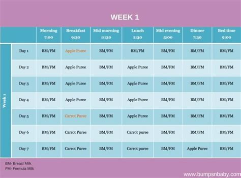 6 Month Old Feeding Schedule (FREE Printable Food Charts) - Paperblog | Baby food recipes, Baby ...