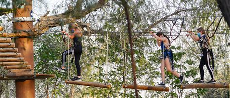 Explore The Other Side of Dubai by Visiting Aventura - The Best Adventure Park - Aventura