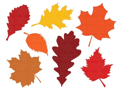 Fall Leaves Svg Fall Svg Fall Leaf Svg Bundle Fall Png - Etsy | Autumn leaves, Leaf cutout, Fall ...