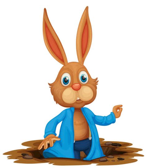 Rabbit Burrow Illustrations, Royalty-Free Vector Graphics & Clip Art ...