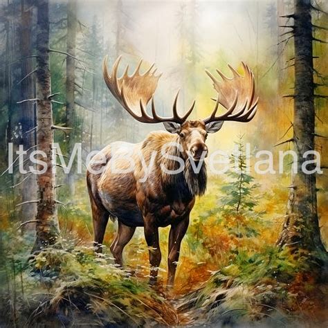 Moose Watercolor Clipart Moose Watercolor Painting Print - Etsy