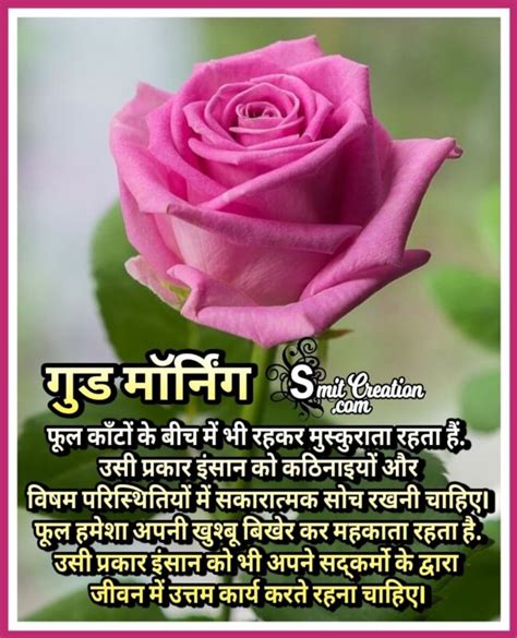 Good Morning Quotes With Flower In Hindi | Best Flower Site