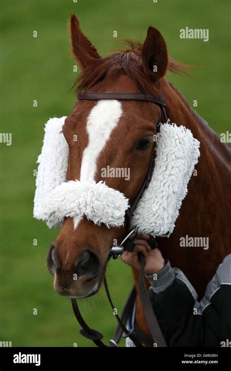 Horse Racing - Catterick Racecourse Stock Photo - Alamy