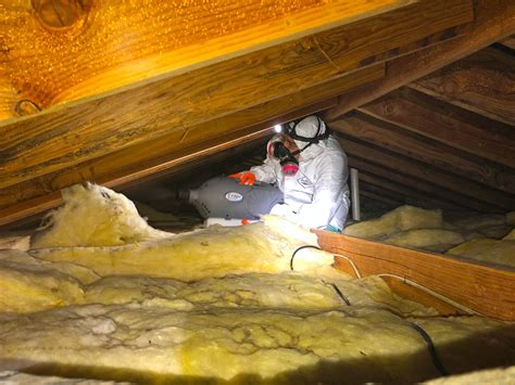 Our Mold Removal Services - Attic Mold Removal in Matawan, NJ - Here's What We Did