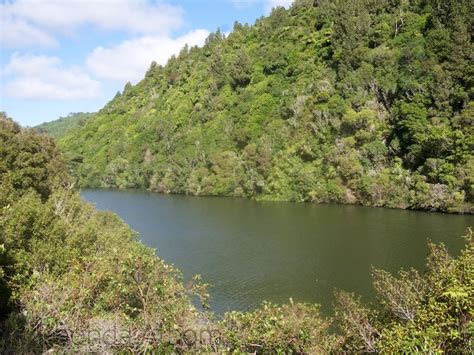 Zealandia, New Zealand Wildlife the Way Nature Intended