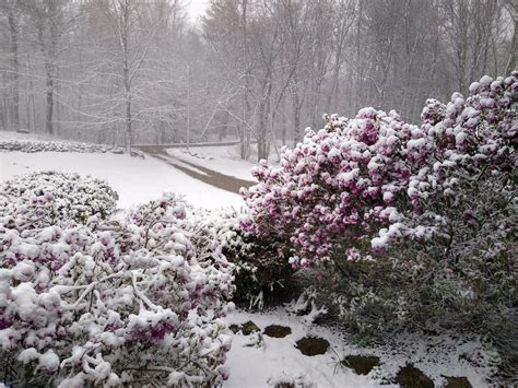 Saturday in May: Snow, cold and high winds hit western Massachusetts | WWLP