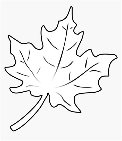 Transparent Fall Leaf Outline Png - Drawing Fall Leaf, Png Download - kindpng