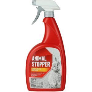 Best Squirrel Repellent Spray 2020 - Consumer Guides