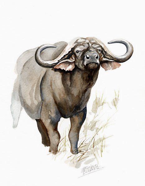 Big Five Watercolor Gallery | African Wildlife Watercolor Art | Wildlife art, Buffalo art ...