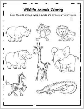 Wildlife Coloring Pages For Adults Coloring Pages