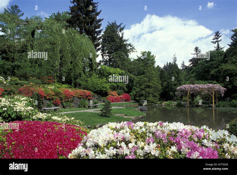 USA, Washington, Seattle, Washington Park Arboretum, Japanese Garden Stock Photo: 3887306 - Alamy