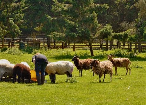 Hoo Farm Animal Kingdom - Shropshire Tourism & Leisure Guide