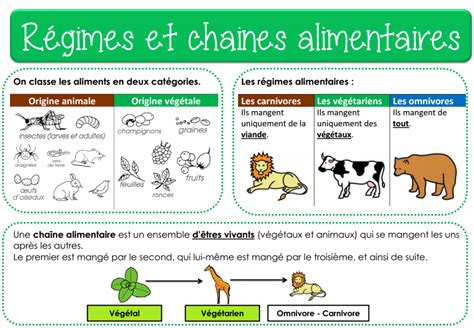 Régimes et chaines alimentaires — Cartable Liberty