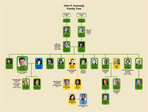 John F. Kennedy Family Tree : r/UsefulCharts