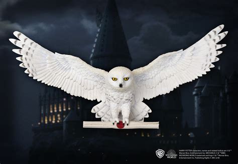 Φιγούρα τοίχου Hedwig Owl (Harry Potter) – Noble Collection #NN8965