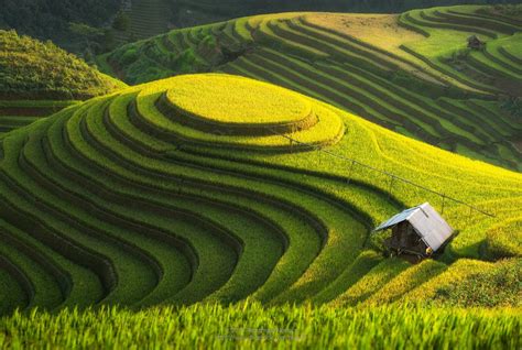 L’image du jour : Rizière en Chine | Etrange et Insolite