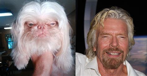 12 Celebrity Snapshots And Their Amazing Canine Look-Alikes | Canine, Celebrities, Snapshots