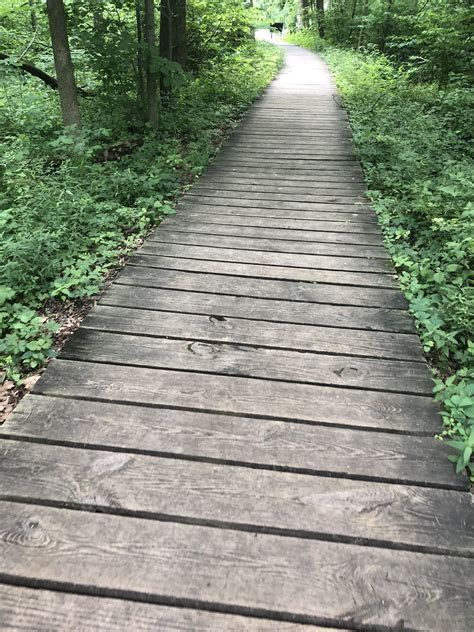 Indiana Dunes Hiking Trail to the marsh. Indiana Dunes, Hiking Trails, Sidewalk, Photography ...